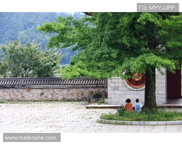 足球明星黄勇的职业生涯与成就全景回顾与分析 足球明星黄勇的职业生涯与成就全景回顾与分析