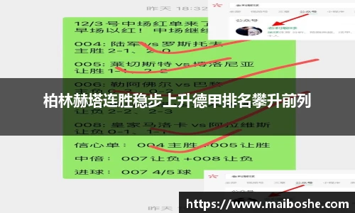MKsports集团
