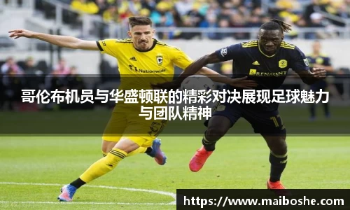 MKsports集团