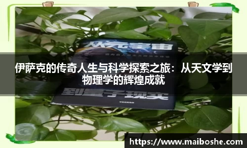 mk体育在线官网