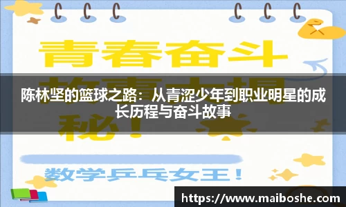 mk体育在线官网